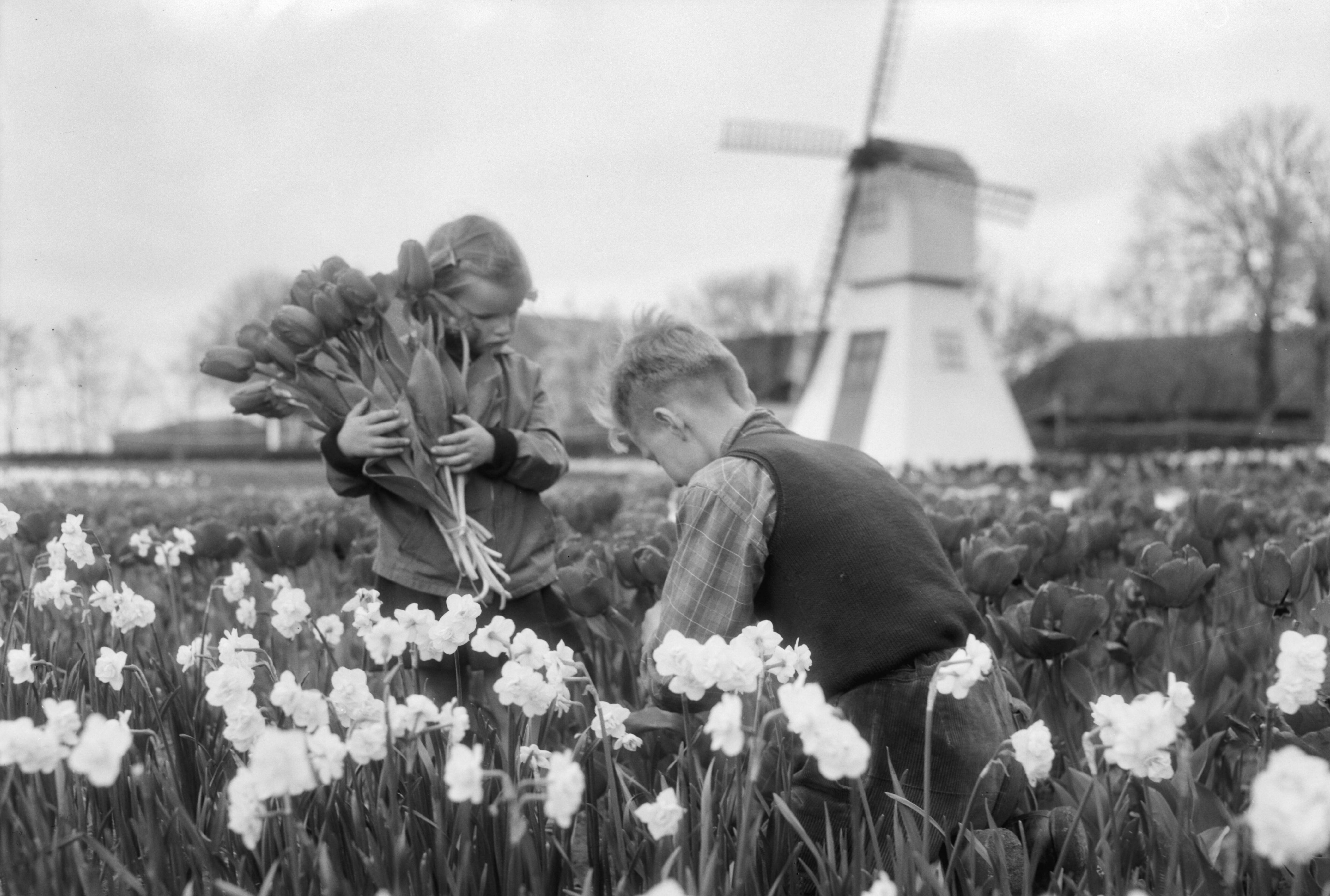Kinderen in de Bollenstreek (1958), Pot, Harry / Anefo Kinderen in de Bollenstreek (1958), Pot, Harry / Anefo