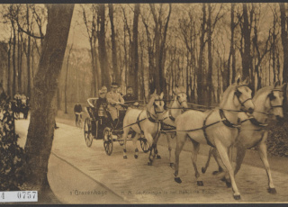 Koningin Wilhelmina in een rijtuig rijdend door het Haagse Bos (ca. 1900), Collectie Fotocollectie Elsevier Binnenland