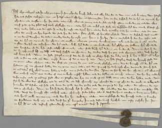 Getuigenisverklaring van ene Paapken over de Kabeljauwse verbondsakte (1350).