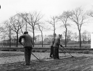 Gevangenen in Veenhuizen, 1949 Anefo foto: B. Merk